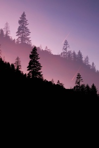 Yosemite Valley Evening 5k (1440x2560) Resolution Wallpaper