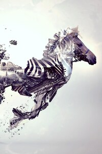 Zebra Abstract Art