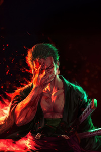 Zoro From One Piece (800x1280) Resolution Wallpaper